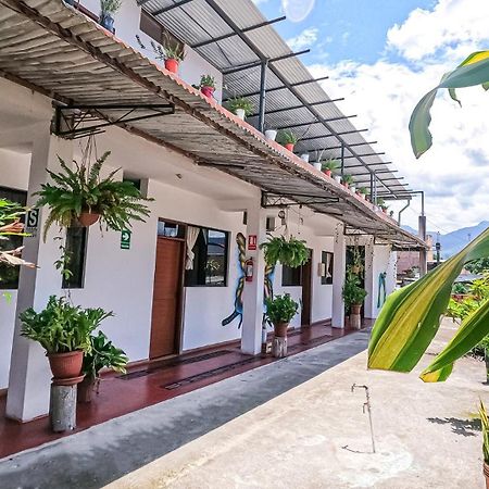 Hotel Shoffi'S House Backpackers Tarapoto Exterior foto